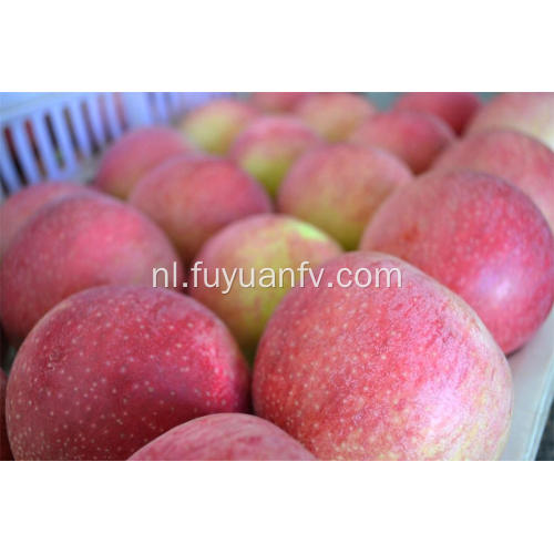 Fresh Delicious Good Quality Qinguan Apple